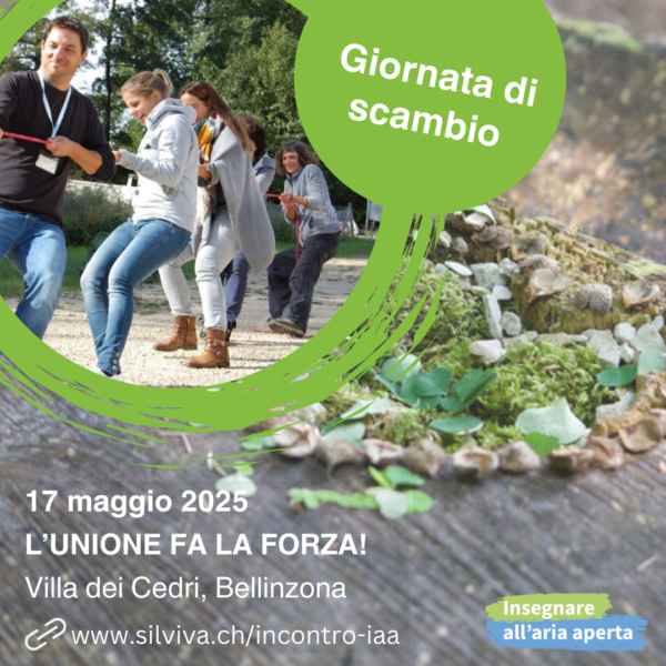 Invito giornata IAA 2025